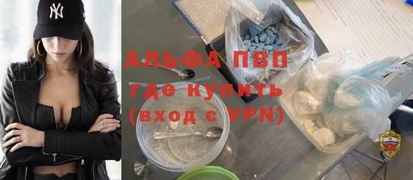 стаф Дмитровск