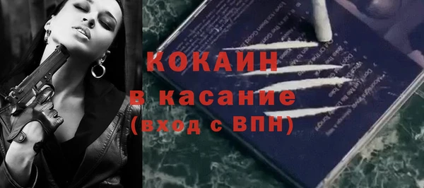 стаф Дмитровск