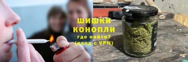 стаф Дмитровск