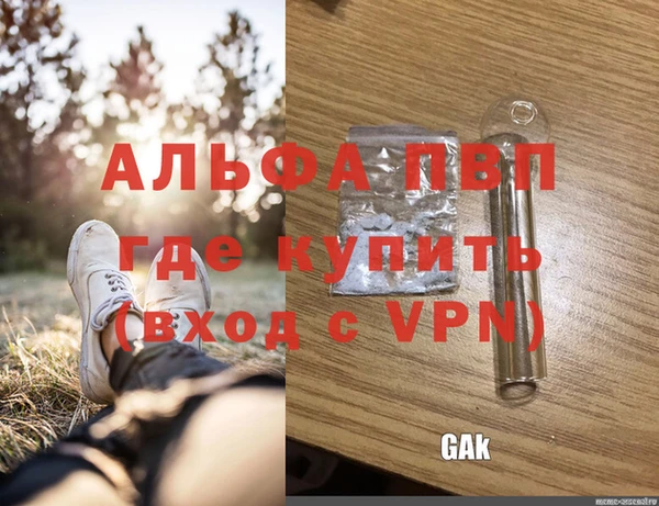 стаф Дмитровск