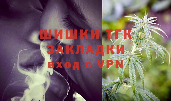 стаф Дмитровск