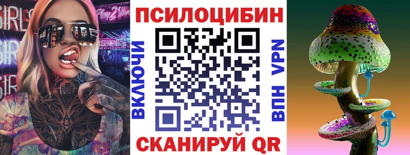 Купить  Черняховск  Псилоцибиновые грибы Cubensis 